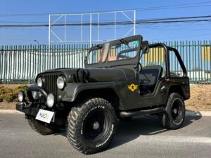 Ford U50 1980 Restaurado  UNICO EN CHILE